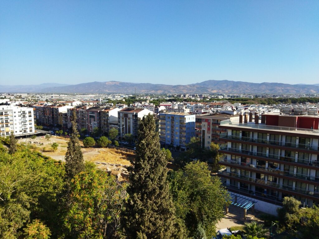 19136164.jpg
